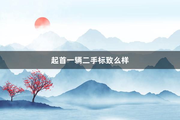 起首一辆二手标致么样